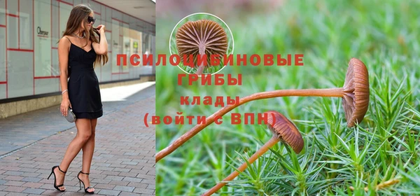 марки lsd Зерноград