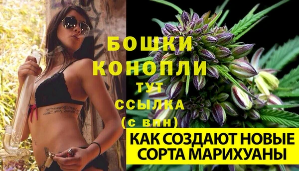 ALPHA PVP Заводоуковск